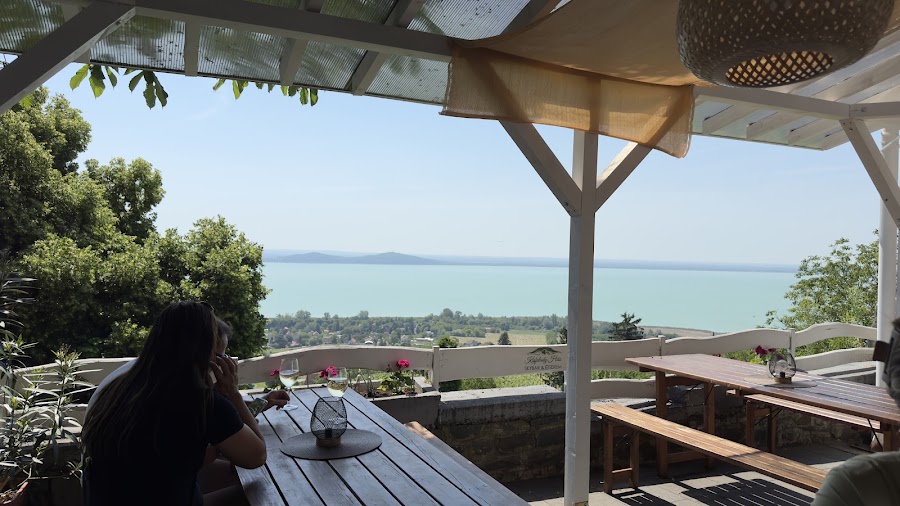 Kisfaludy-ház Étterem — Hungarian — Danube Bend and Balaton Loop — Hungary