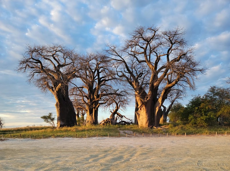 Nxai Pan