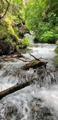 McHugh Creek Day Use Area — Nature — Seward Highway — United States