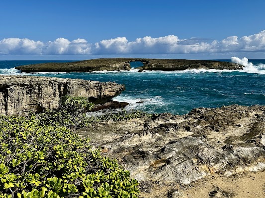 Laie Point