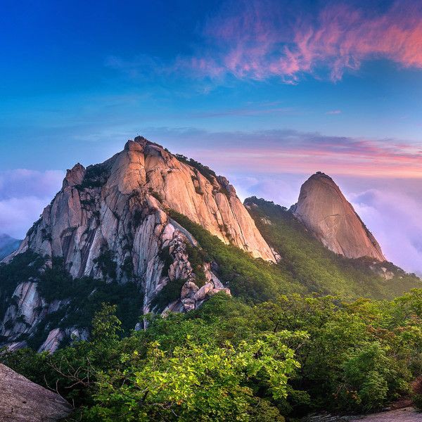 Bukhansan Pine Forest Trail — Nature — DMZ and Gangwon Mountain Route — South Korea