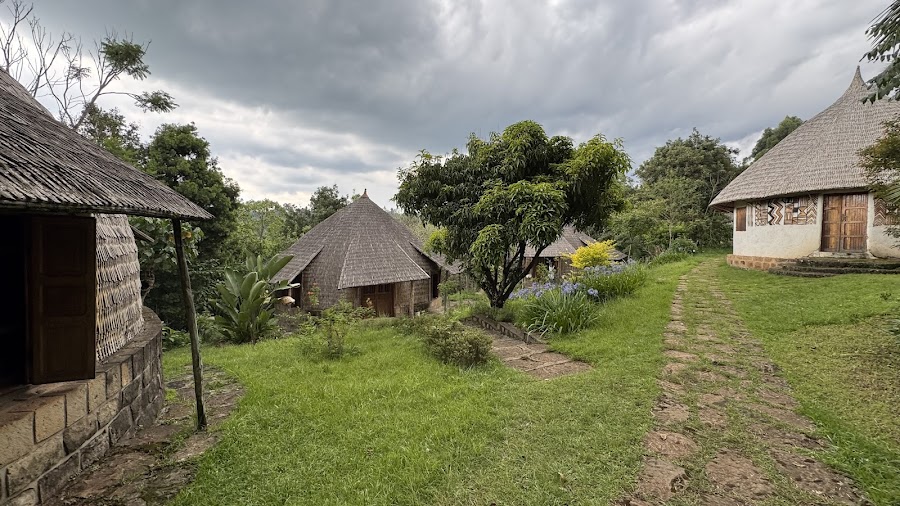 Aregash Lodge Restaurant — Ethiopian — Danakil Depression Expedition — Ethiopia