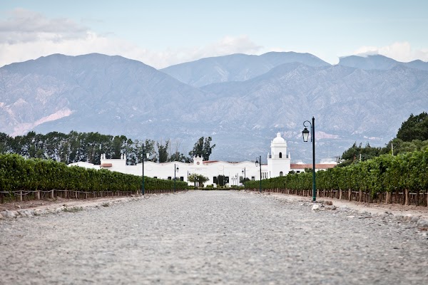 Bodega El Esteco