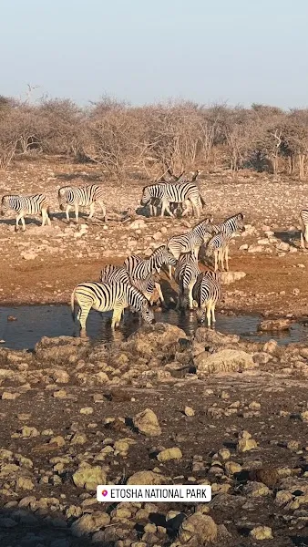 Andersson Gate — Departure — Etosha Pan Circuit — Namibia