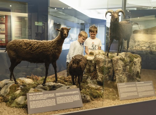 National Museum of the Faroe Islands