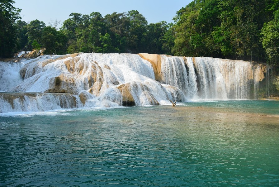 Cabañas y Restaurante Cascadas de Agua Azul