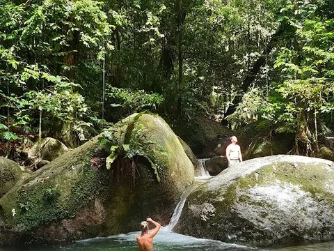 Mossman Gorge — Nature — Captain Cook Highway and Daintree Coast — Australia