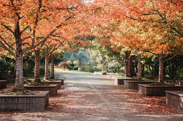 Oregon Garden