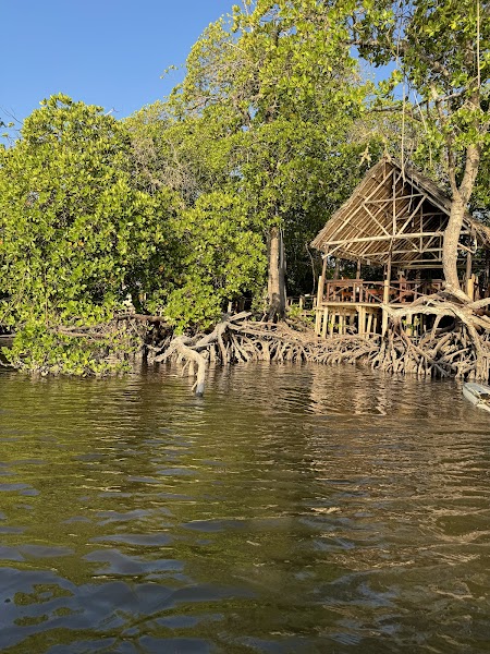 Mida Creek — nature reserve — Mombasa to Lamu Coast Road — Kenya