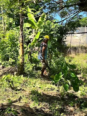 Sigatoka — City — Coral Coast Road, Fiji — Fiji