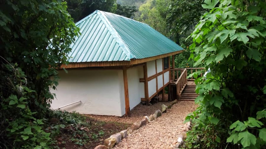 Buhoma Community Rest Camp restaurant — Lodge dining — Uganda Fort Portal to Bwindi — Uganda