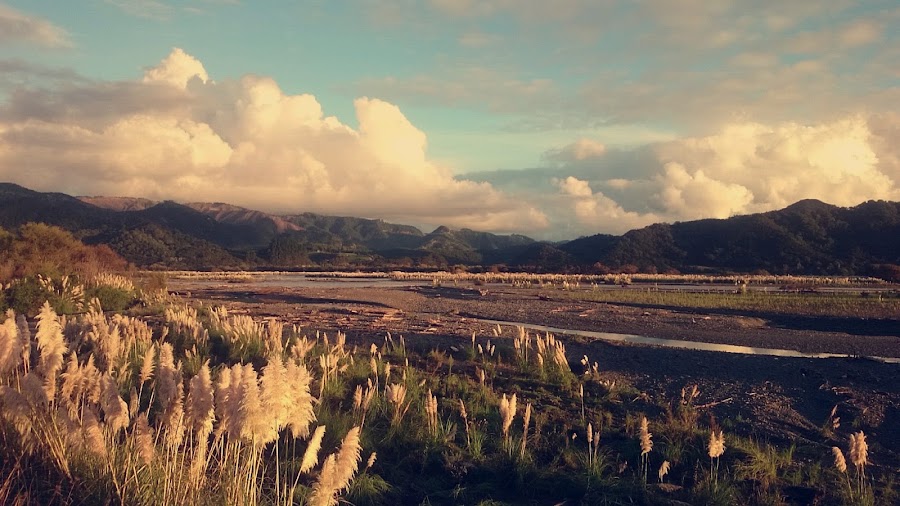Maraehako Bay — Nature — East Cape — New Zealand