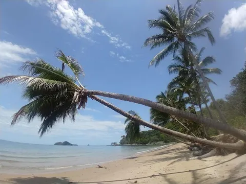 Ellis Beach — Nature — Cairns to Port Douglas Coastal Drive — Australia