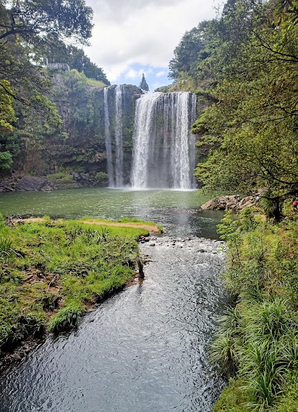 Whangarei Falls — Waterfall walk — Northland Pacific Coast Highway — New Zealand