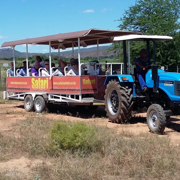 Safari Ostrich Farm — Farm Tour — Route 62 — South Africa
