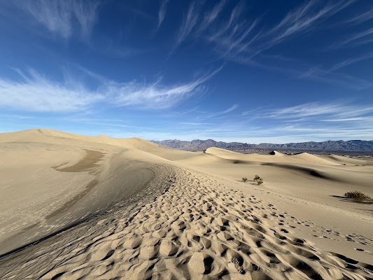 Mesquite Flat Dunes