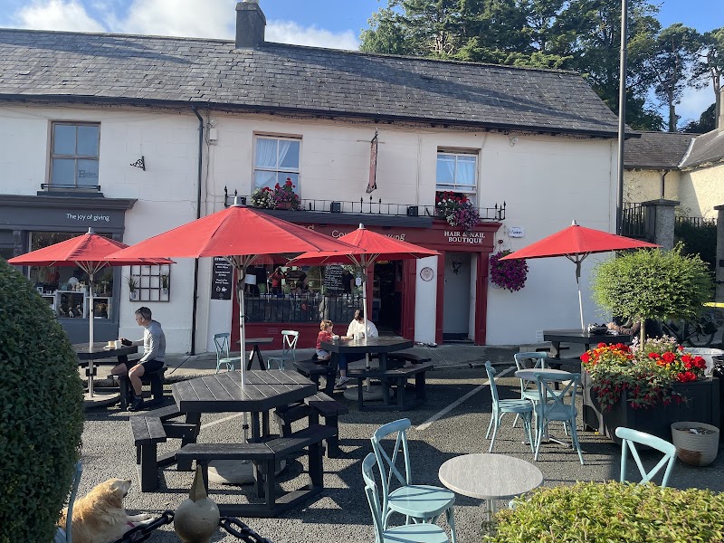 Poppies — Irish café — Dublin to the Wicklow Mountains — Ireland