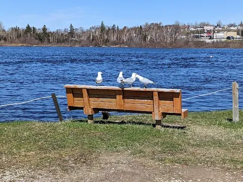 Deer Lake — Departure — Viking Trail — Canada