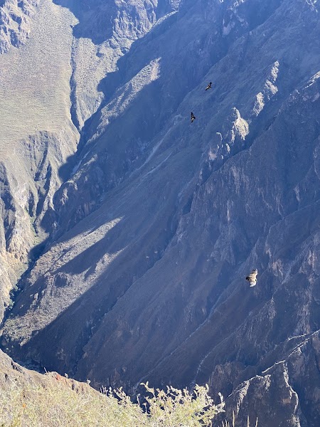 Mirador Cruz del Condor