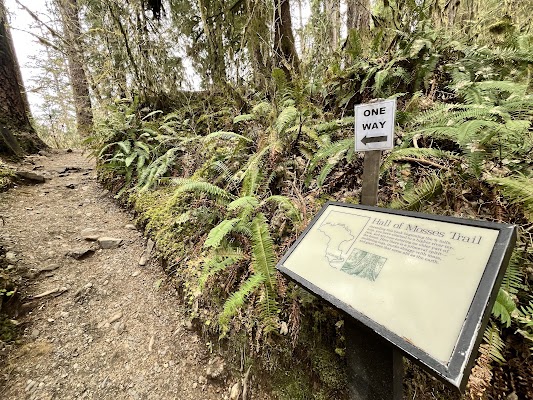 Hoh Rain Forest Visitor Center