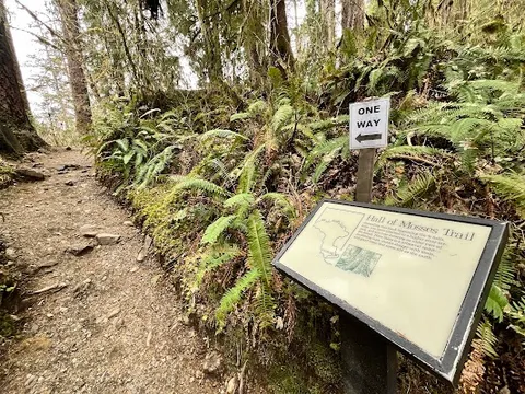 Hoh Rain Forest Visitor Center — Nature — Seattle–Olympic Peninsula Circuit — United States