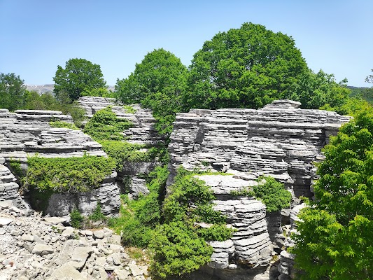 Stone Forest of Epirus
