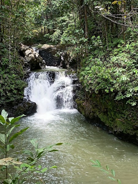 Tawau Hills — Nature — Borneo Sabah Loop — Malaysia