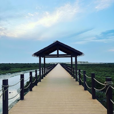 Al Thakhira Mangroves Kayak