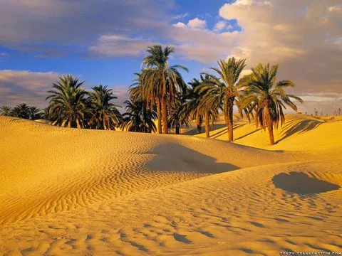 Douz — Arrival — Tunis to Douz: Medinas to Sahara — Tunisia