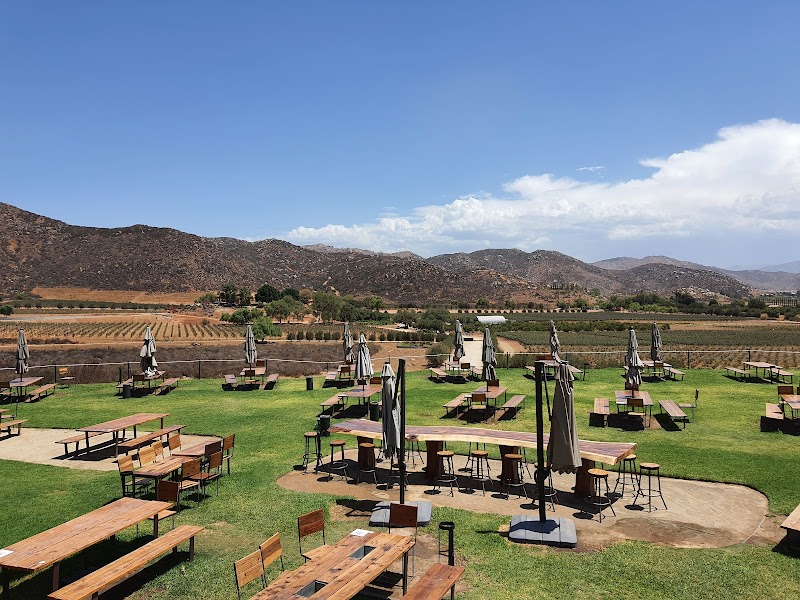 Decantos Vinícola