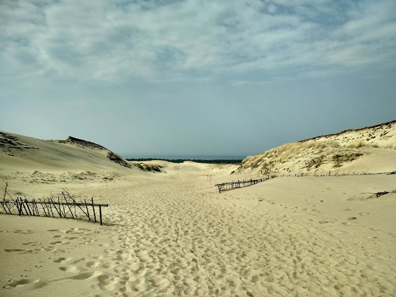 Nagliai Nature Reserve cognitive trail — Dune trail — Curonian Spit — Lithuania