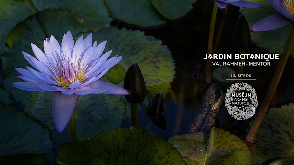 Jardin Exotique de Menton
