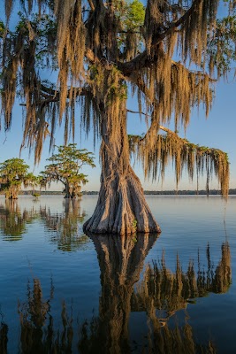 Lake Martin
