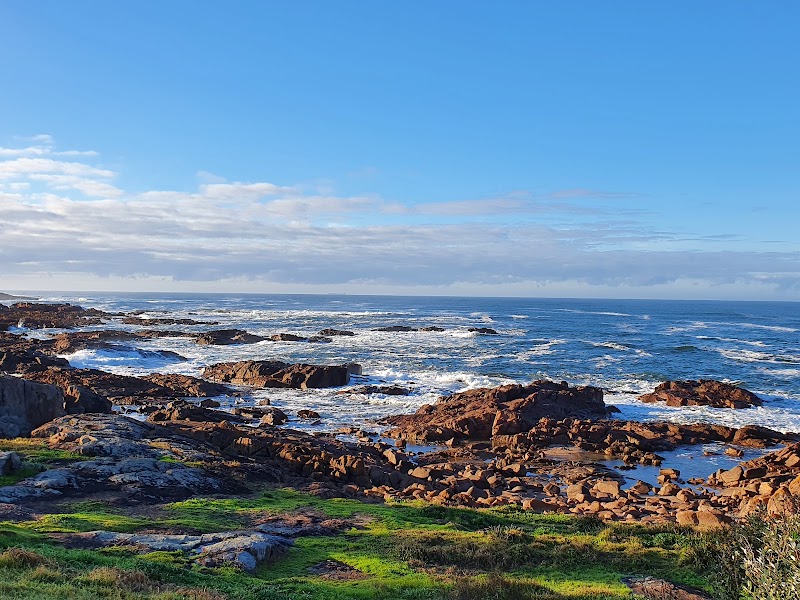 Birubi Point walk — Short coastal walk — Sydney to Nelson Bay — Australia