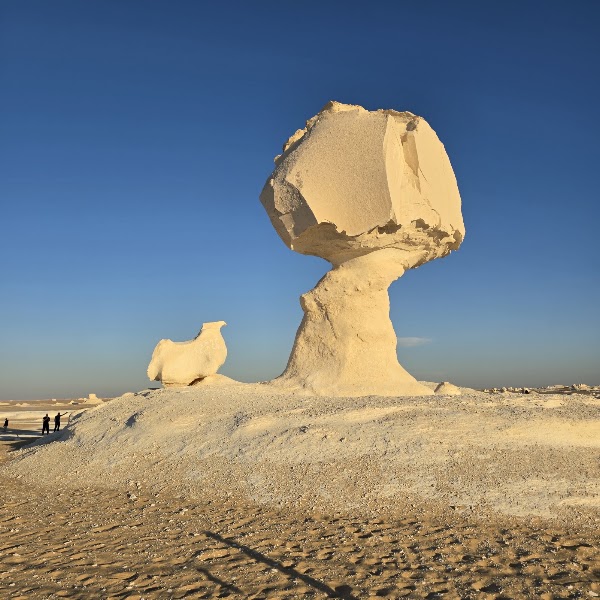 Licensed operator camp catering — Expedition catering — White Desert and Bahariya Oasis — Egypt