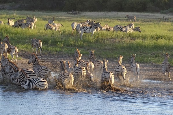 Makgadikgadi Pans National Park