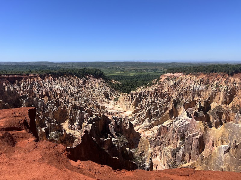 Ankarafantsika National Park — Nature — Northern Madagascar and Tsingy de Bemaraha — Madagascar