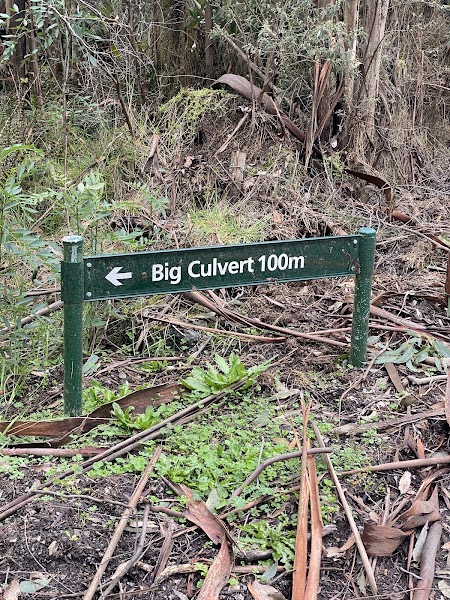 Cambarville and Big Culvert — Landmark — Mansfield to Marysville — Australia