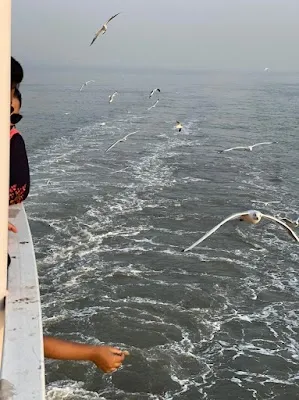 Alibag — City — Scenic Konkan Coast: Mumbai to Goa — India