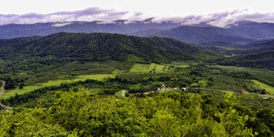 Billy Barquedier National Park — Nature — Hummingbird Highway — Belize