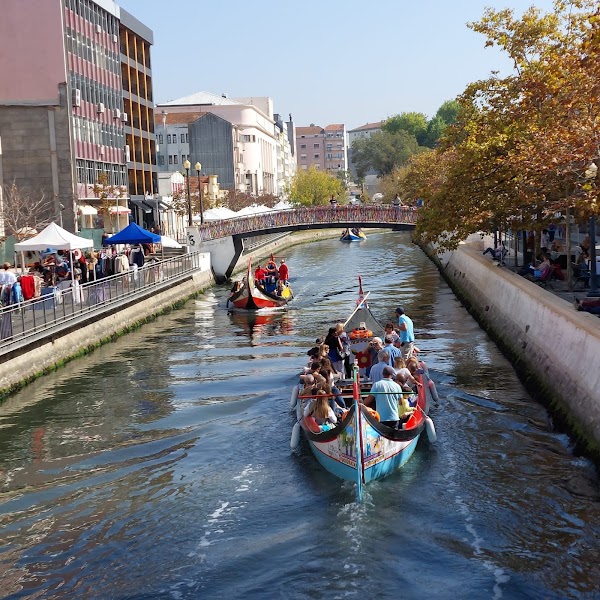 Aveiro canals and Art Nouveau — City walk — Lisbon to Porto — Portugal
