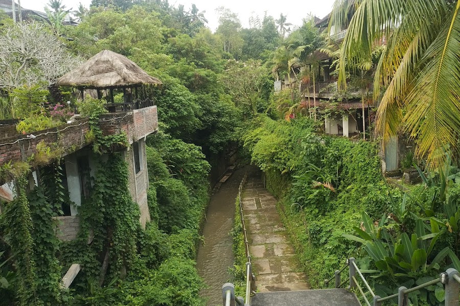 Denpasar and Ubud — Departure — Bali West and Highlands Loop — Indonesia
