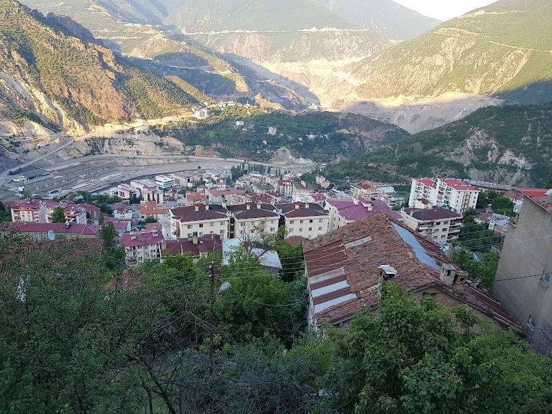 Artvin
