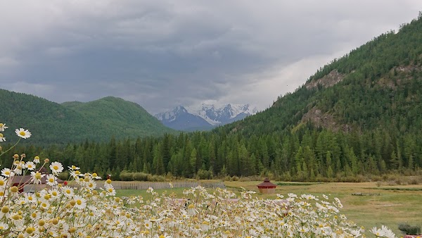 Aktash