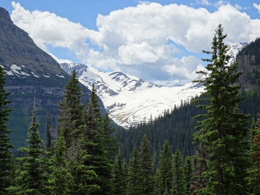 Jackson Glacier Overlook