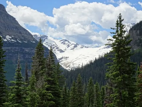 Jackson Glacier Overlook — Nature — Going-to-the-Sun Road — United States