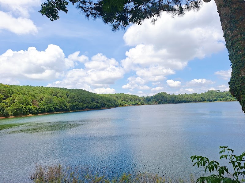 Pleiku — Nature — Ho Chi Minh Road — Vietnam