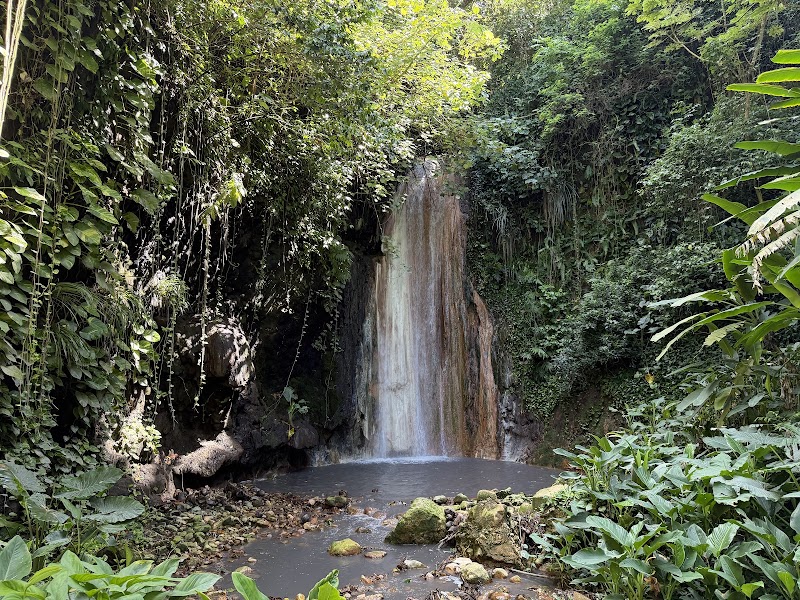 Diamond Falls Botanical Gardens — Nature — Soufrière and the Pitons Drive — Saint Lucia