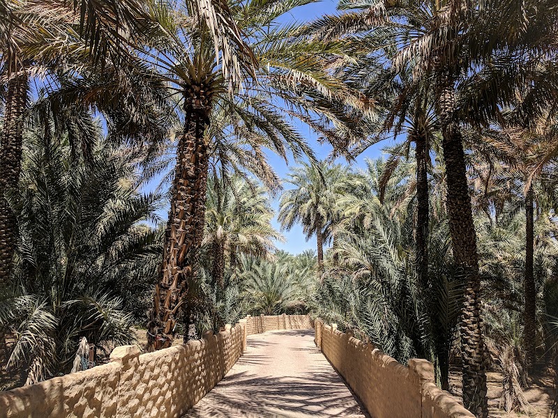 Al Ain Oasis walk — Heritage — Dubai–Al Ain–Jebel Hafeet — United Arab Emirates