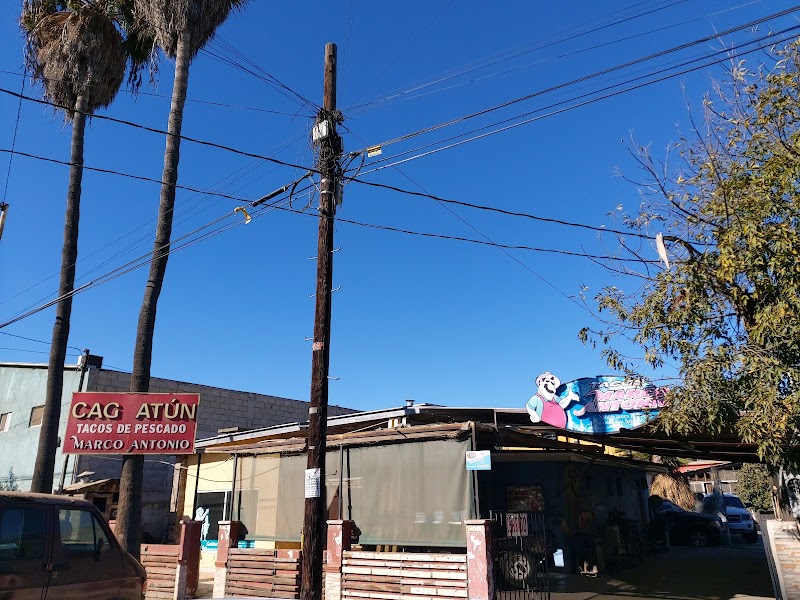 Tacos Marco Antonio
